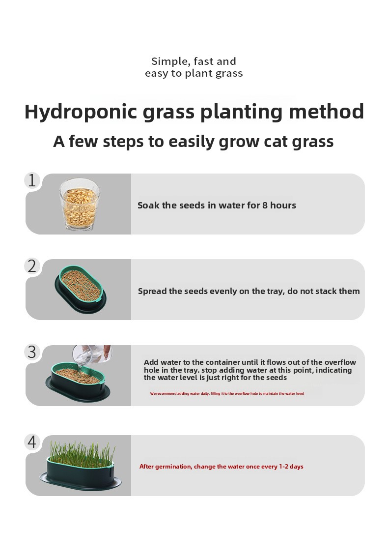 Cat grass hydroponic box details