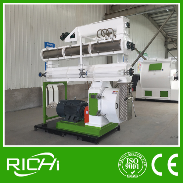 RICHI Customized 20-30T/H Complete Poultry Animal Cattle Chicken Feed Factory For Algeria Customer