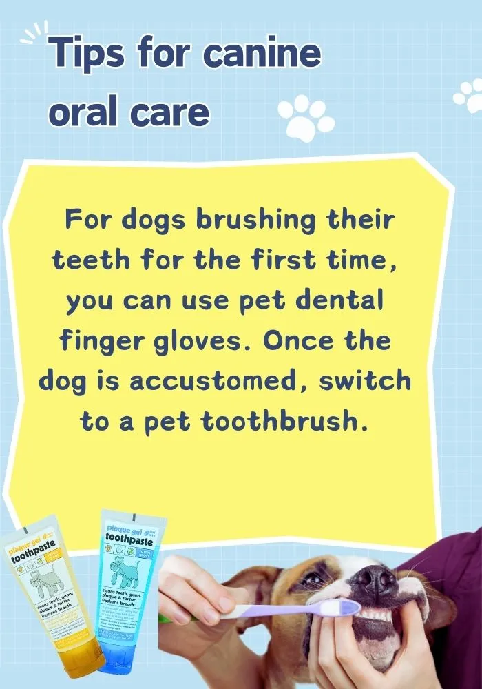 Premium Cat Toothpaste - Gentle Formula for Optimal Dental Health