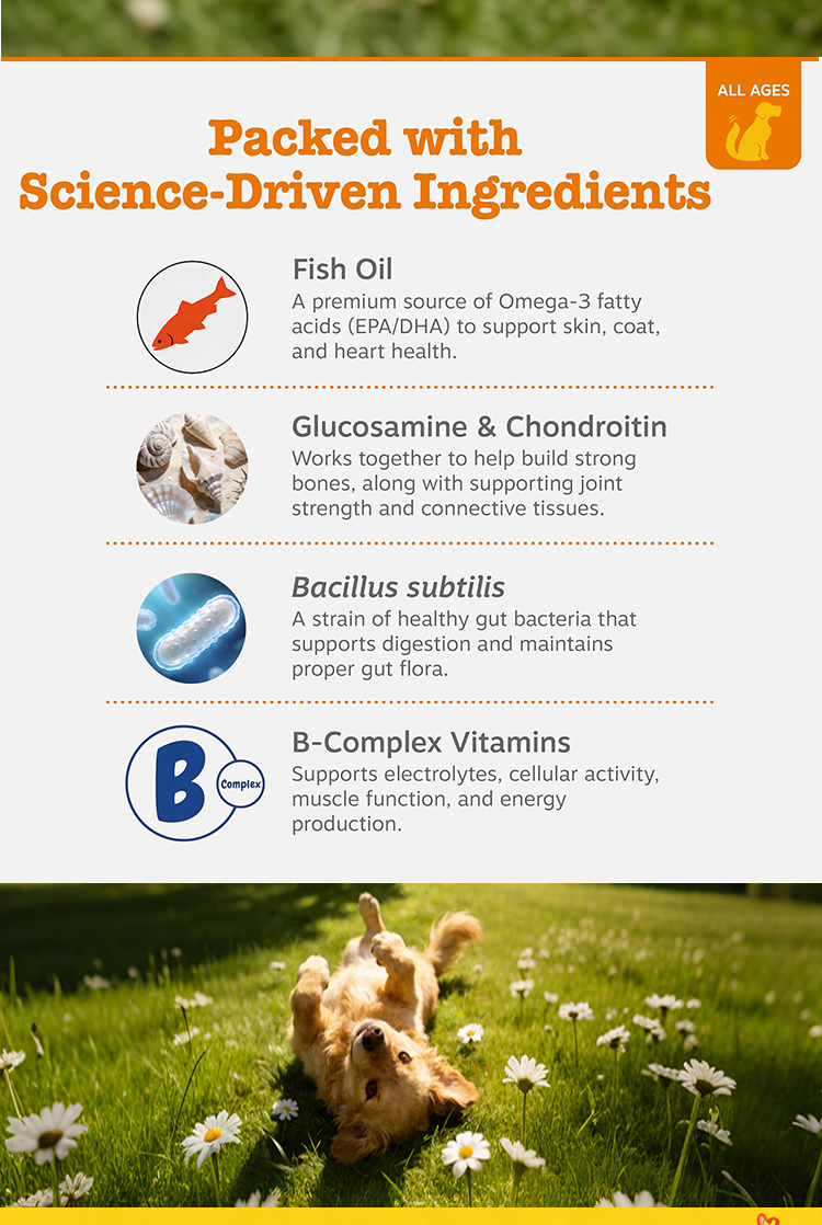 Pet Product Details 4