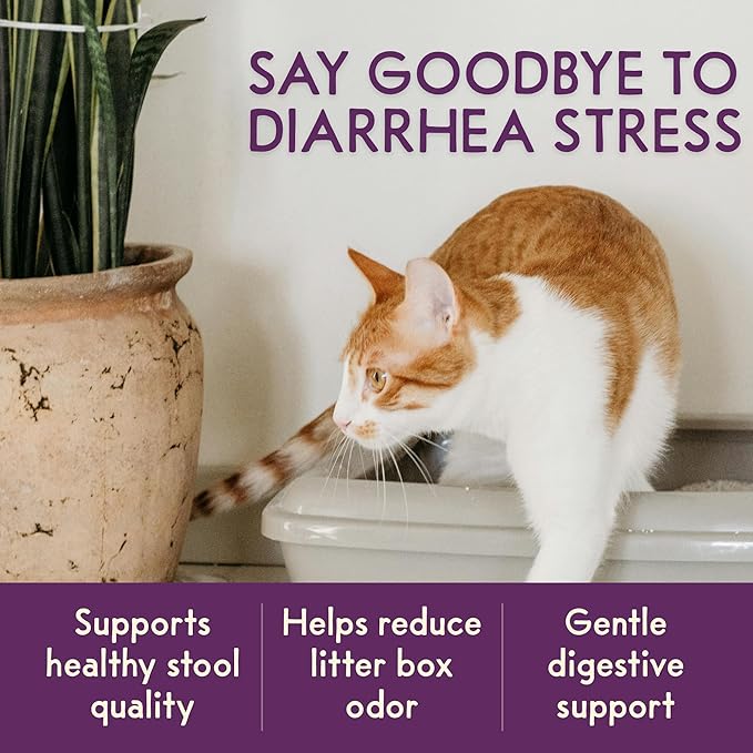 Cat Hairball Control Bladder Support Organic Soft Chews Digestive Supplement Furball Remedy Treats Mild Laxative Stomach Health