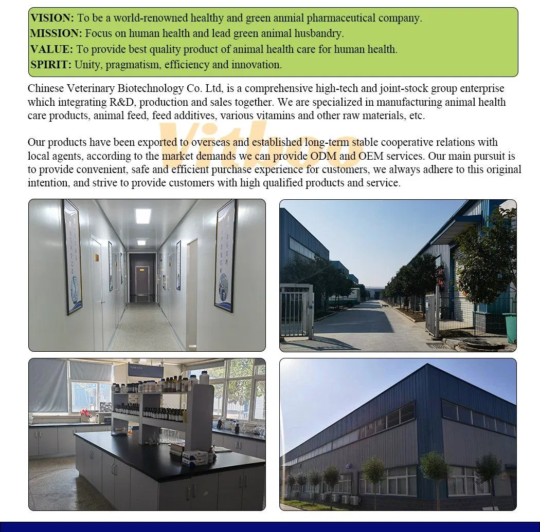 Poultry Feeding Equipment Pallet Machine Produce Egg Laying Chicken Feeds High Nutrition