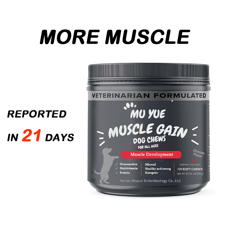 High Protein Supplement for Dogs Various Flavors Immune System Strengthener Muscle Gain Booster Supports Bully Development