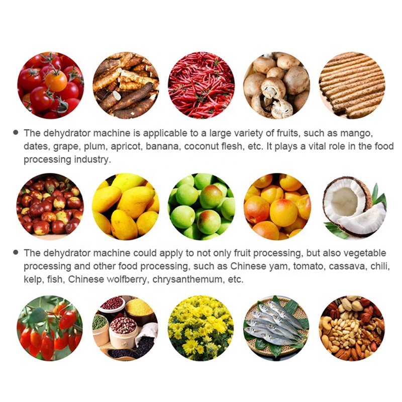 Dehydrated vegetables selection