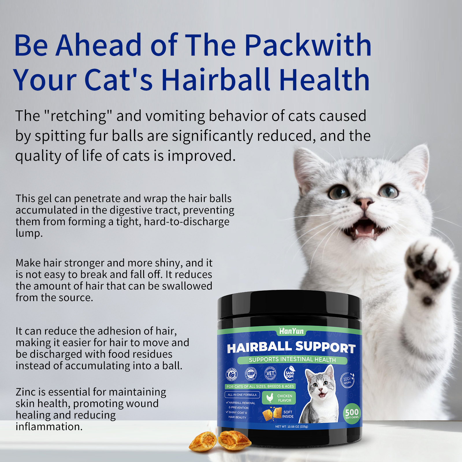 Oem Odm Cat Treats Snacks Hairball Remove Soft Chews Nutritional Supplement Omega 3&amp;6 Fatty Acids High-protein Support Health