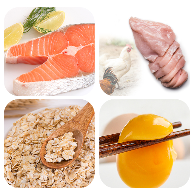 Top Selling OEM Accept Bulk Pet Dog Food Sensitive Stomach Internutri Dry Adult Dog Food dog feed