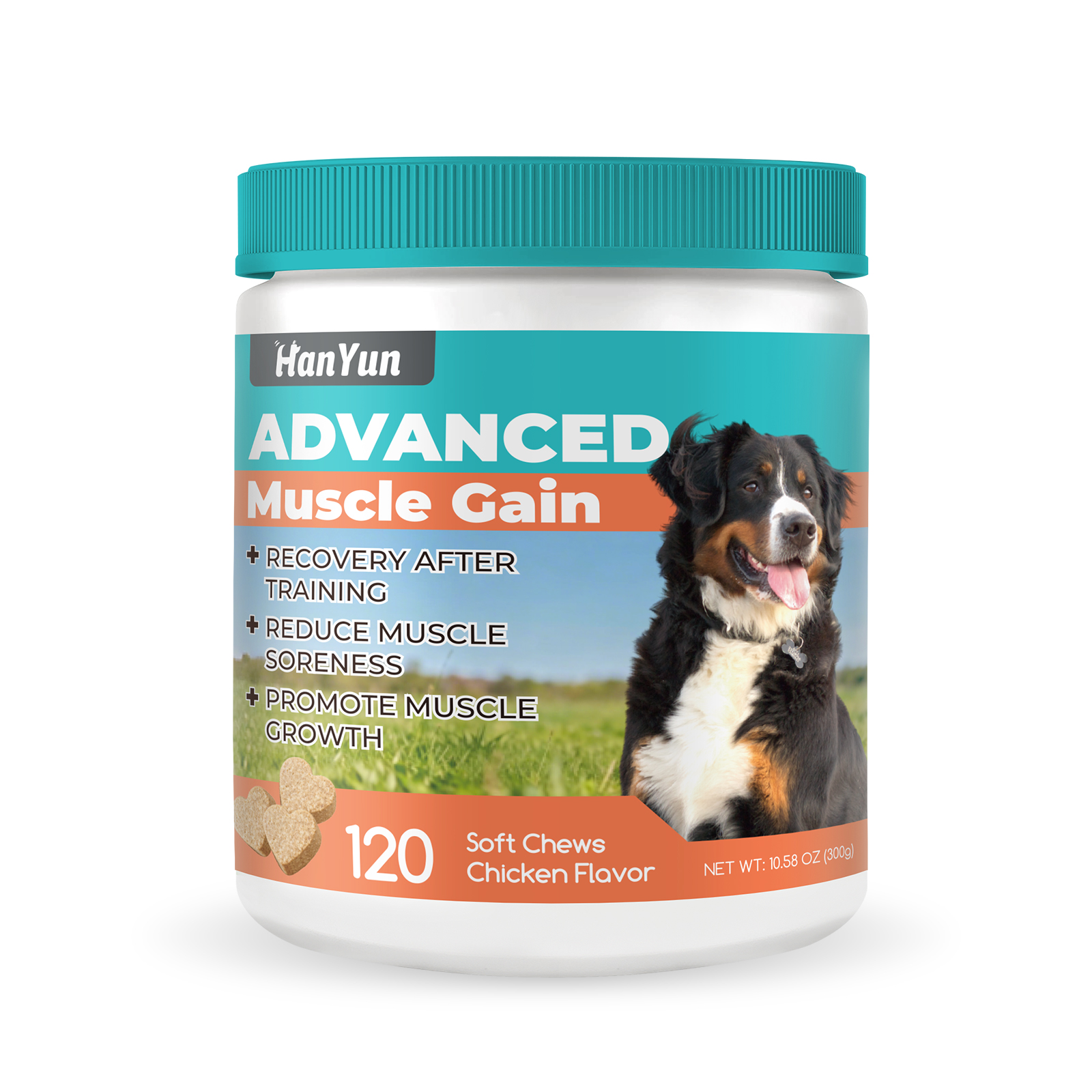 Premium High-protein Dog Muscle Supplements High Protein Dog Food Supplement Pet Ingredients Muscle Gain Dog Muscle Soft Chews