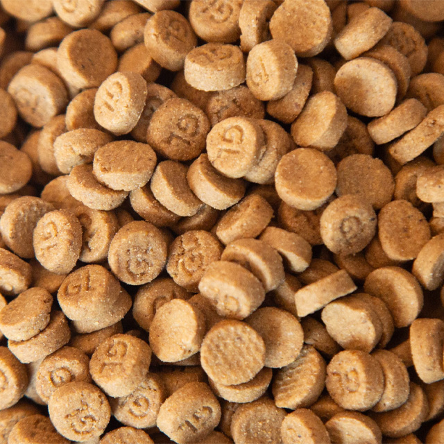 OEM Grain-Free Cat Food, Salmon Nutritious Dry Food for Healthy Digestion, Full Product Range