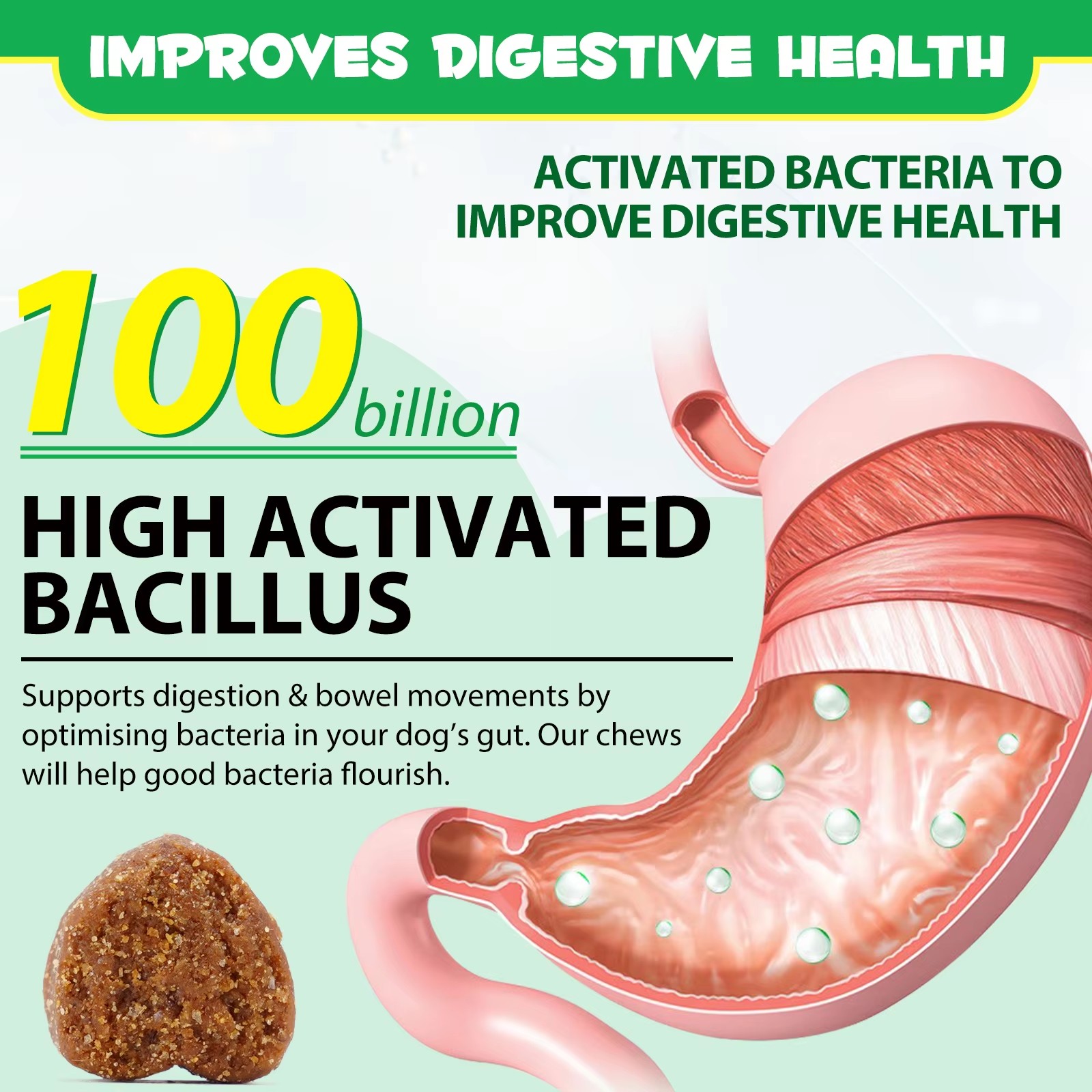 Daily Pet Probiotic Supplements Natural Probiotic Soft Chews For Dogs With Digestive Enzyme Gut Health