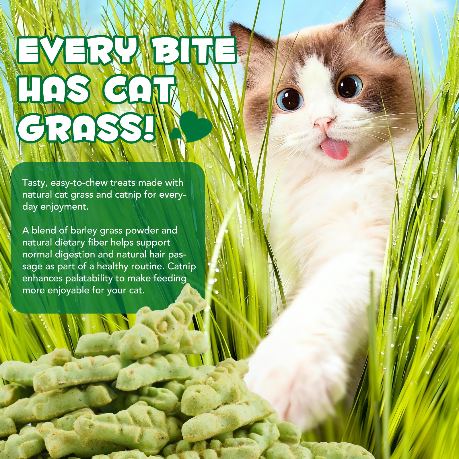 Catnip Cat Grass Treats Detail 1