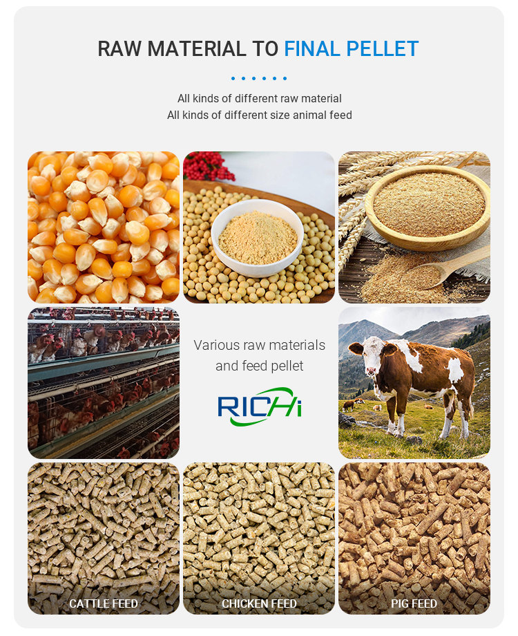Customized 20-30T/H Complete Poultry Animal Cattle Chicken Feed Factory for Algeria Customer