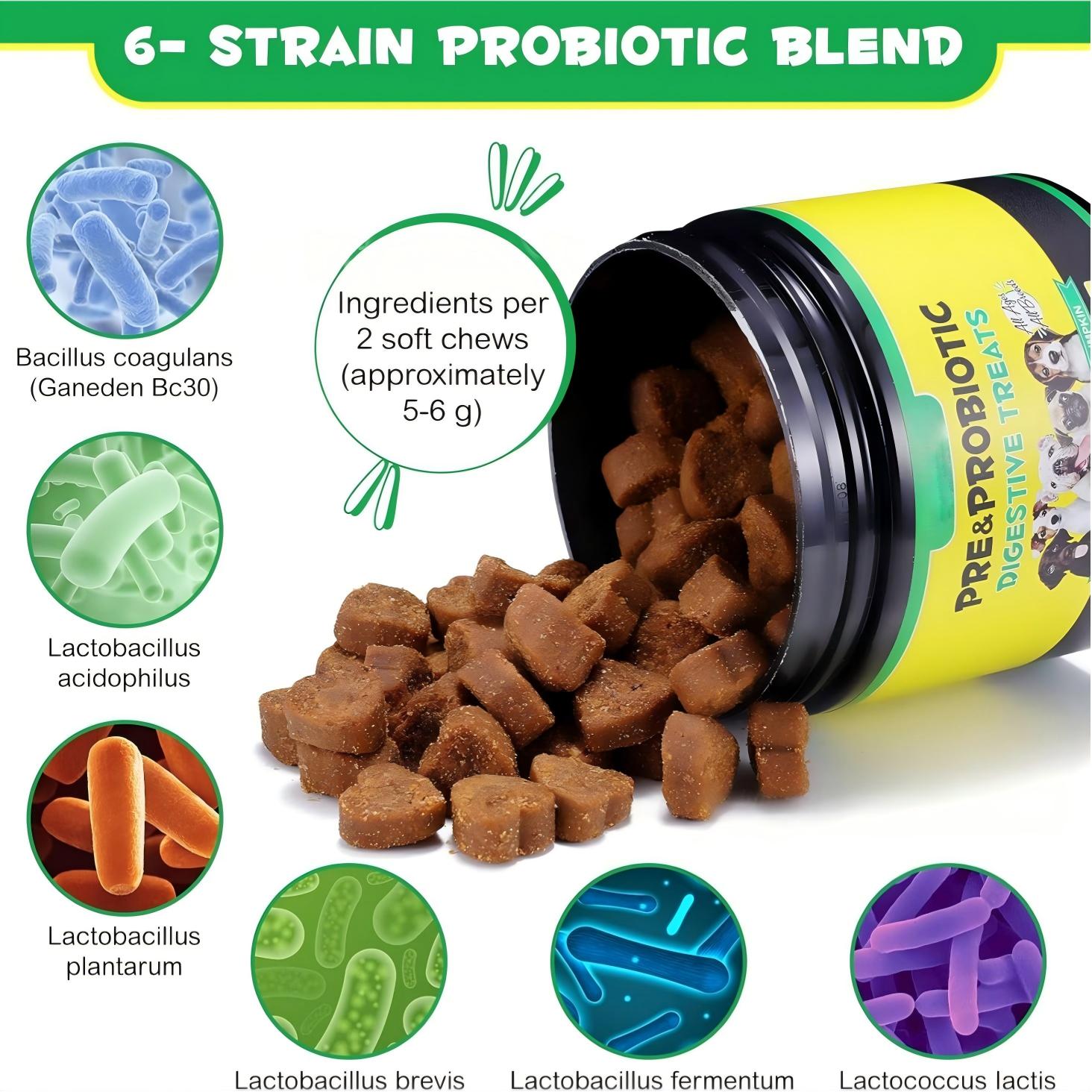 Daily Pet Probiotic Supplements Natural Probiotic Soft Chews For Dogs With Digestive Enzyme Gut Health