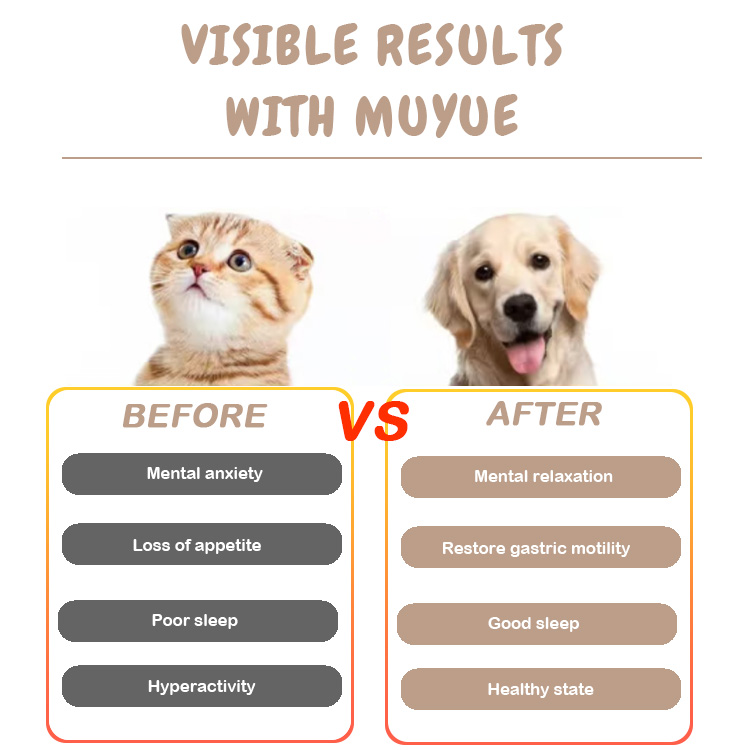 Pet supplement features 2