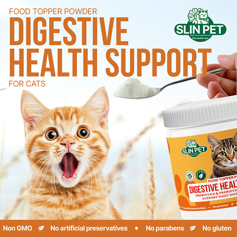 Pet OEMODM Healthcare Nutrition Supplements Prebiotics Probiotics Multi-Enzyme Powder For Dogs Cats ISupport Daily Digestion