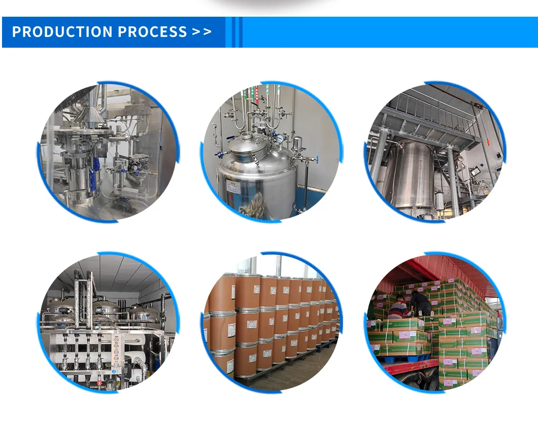 Production Process View
