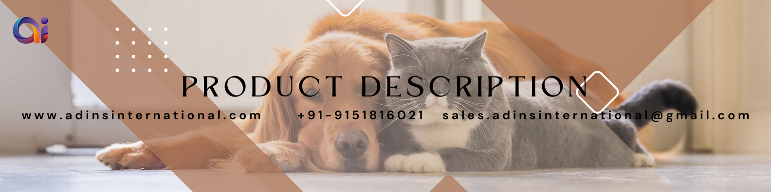 Product Main Banner