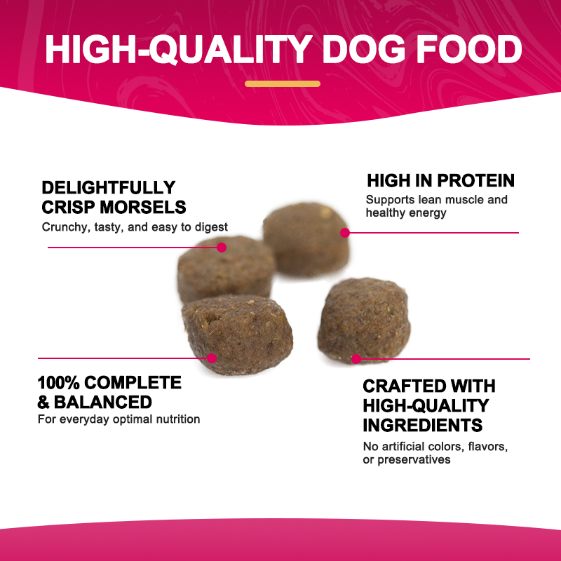 Factory Direct Multi Sizes All Life Stages Fresh Meat Formula Dry Dog Food Added Omega Three Daily Dog Kibble Low MOQ