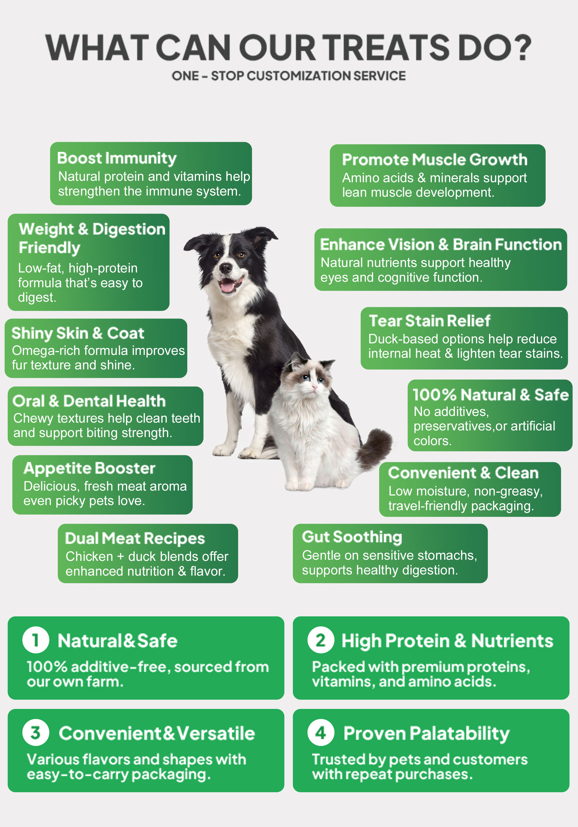 Pet Treat Display 2