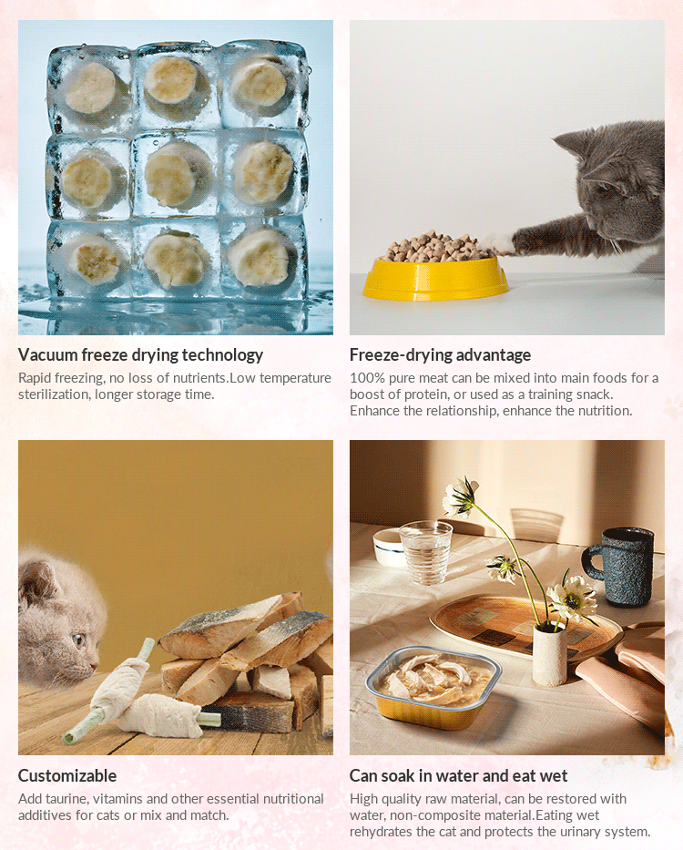 Product Showcase 2