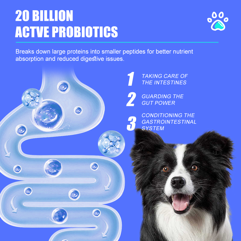 Premium OEM/ODM Custom Dog Food - High Palatability 25% Protein Dry Kibble Grain-Free Formula Multi-Flavor &amp; Shape Options