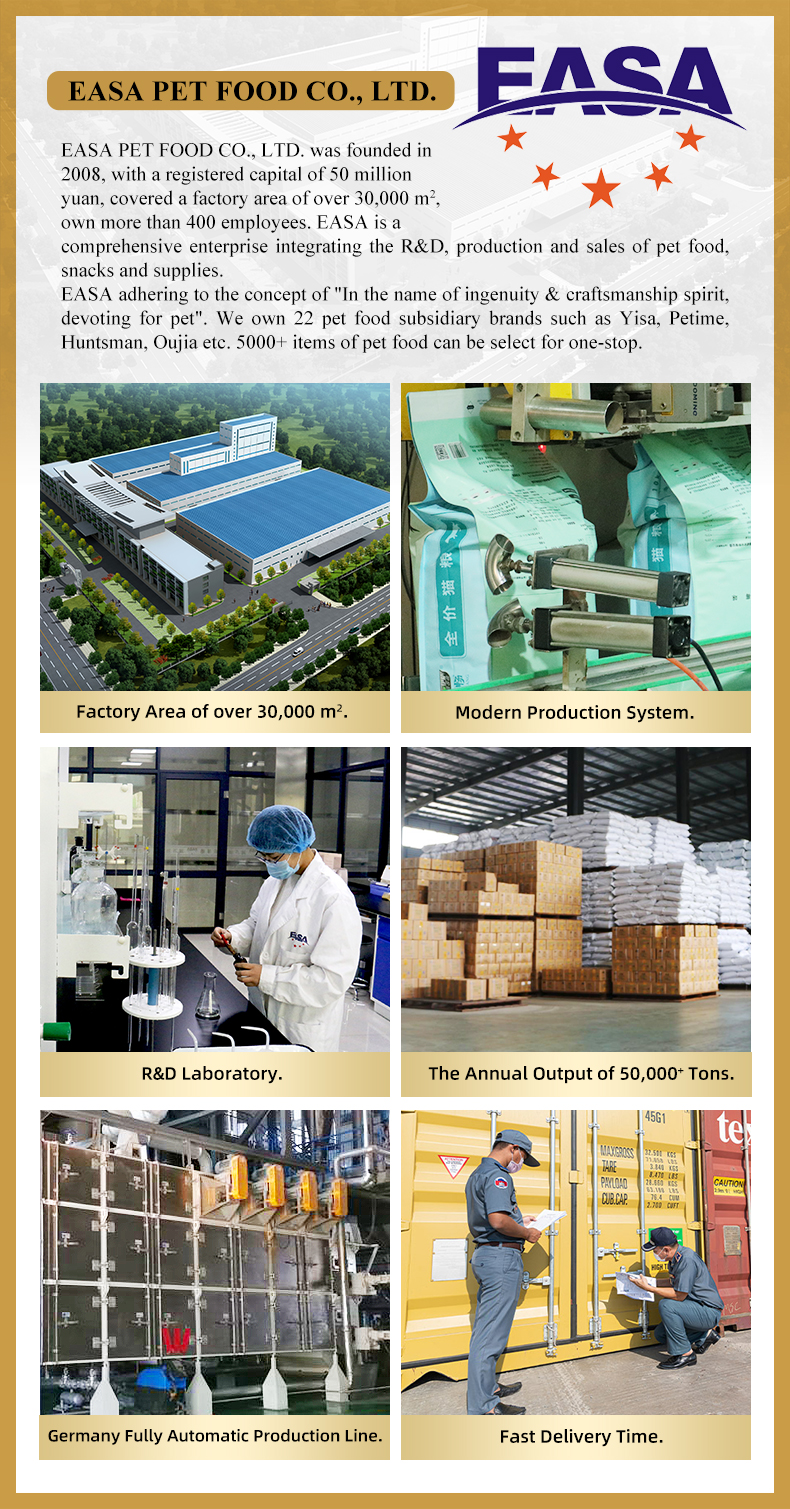 Company Profile