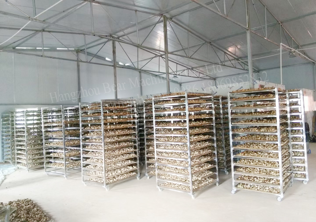 Heat Pump Industrial Fish Spice Meat Drying Dried Room Fruit And Vegetable Dryer Food Dehydrator Machine