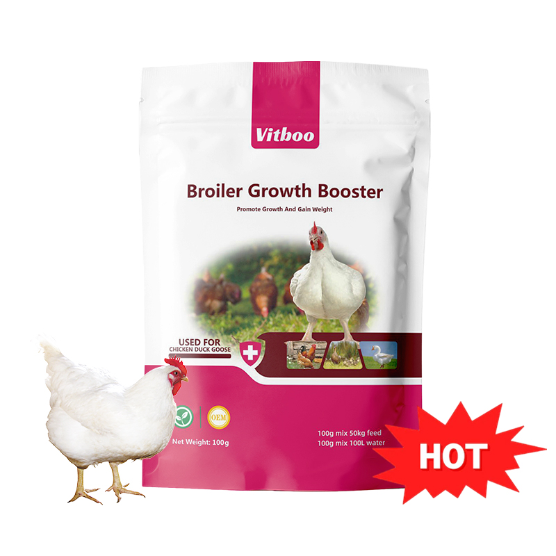Poultry Feeding Equipment Pallet Machine Produce Egg Laying Chicken Feeds High Nutrition