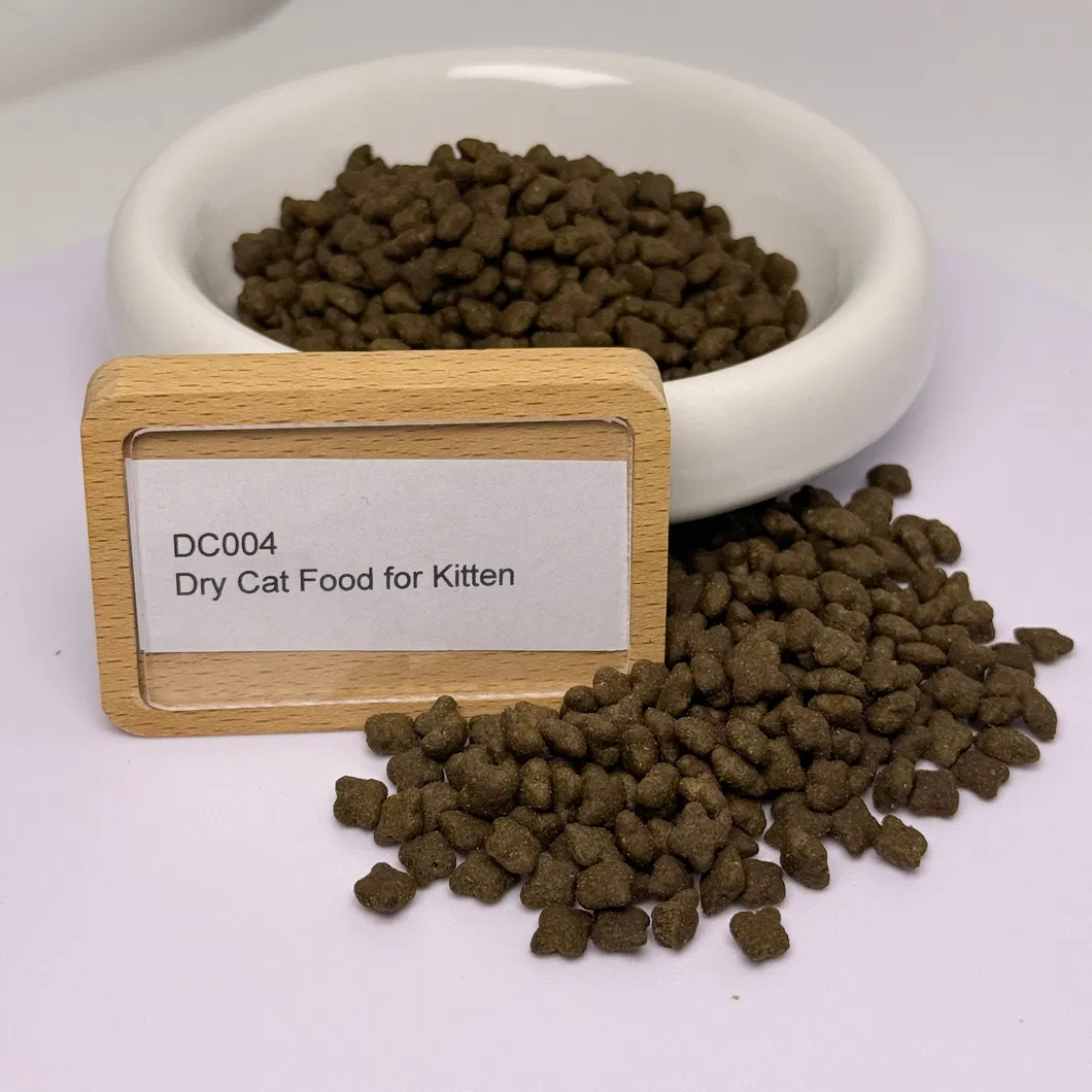 Nutritious Dry Cat Food Rich Protein Boost Healthy Growth for Young Kittens