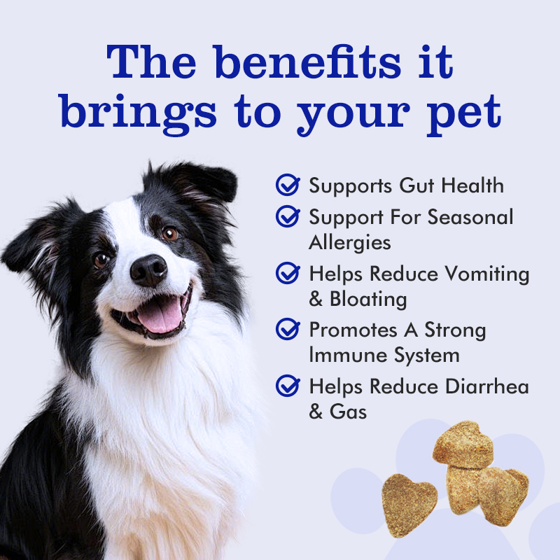 Probiotic Chews for Pets Triple Action Support for Gut Digestion Immunity Soothes Sensitive Stomachs Improves Anal Gland Health