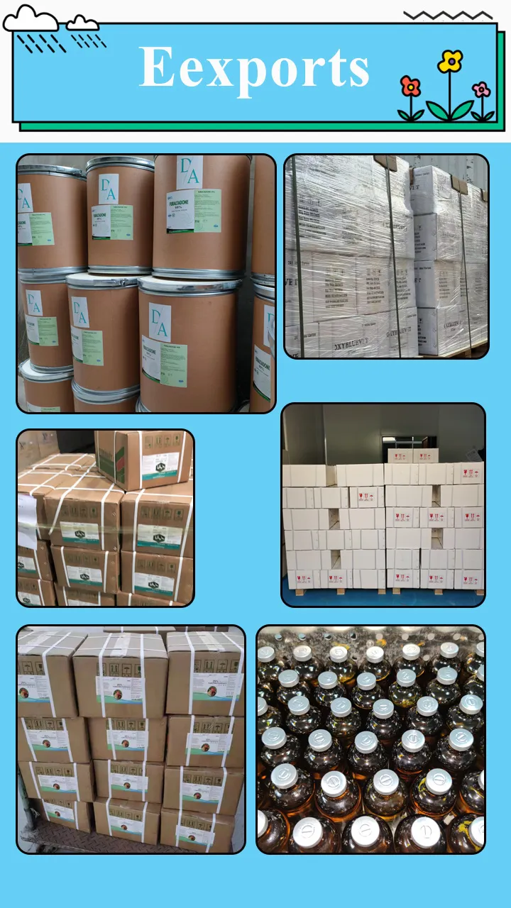 Veterinary Premium 60% Choline Chloride Processing
