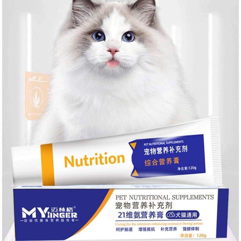 Bulk Export Nutrition Formula OEM