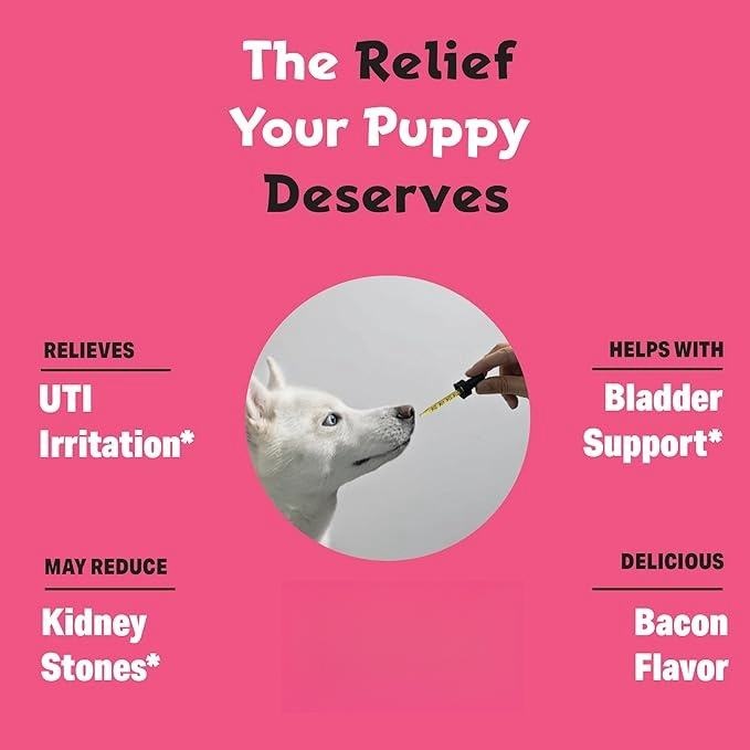 OEM/ODM Factory Custom Pet Bladder Liquid Drops Support Bladder Health &amp; Kidney Health For Dogs - Dog Nutritional Supplements