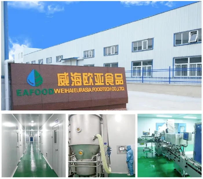 Factory Facility