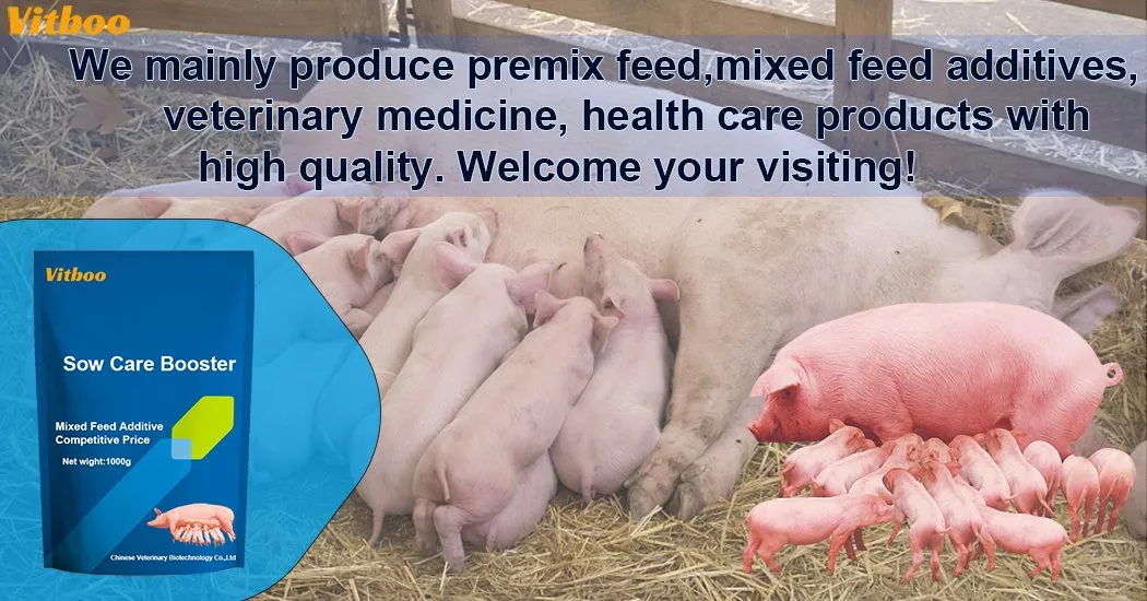 Swine Sow Health Care Booster Feed Supplement Sow Nutrition Plus Improve Piglet Survival Rate More Born Piglets