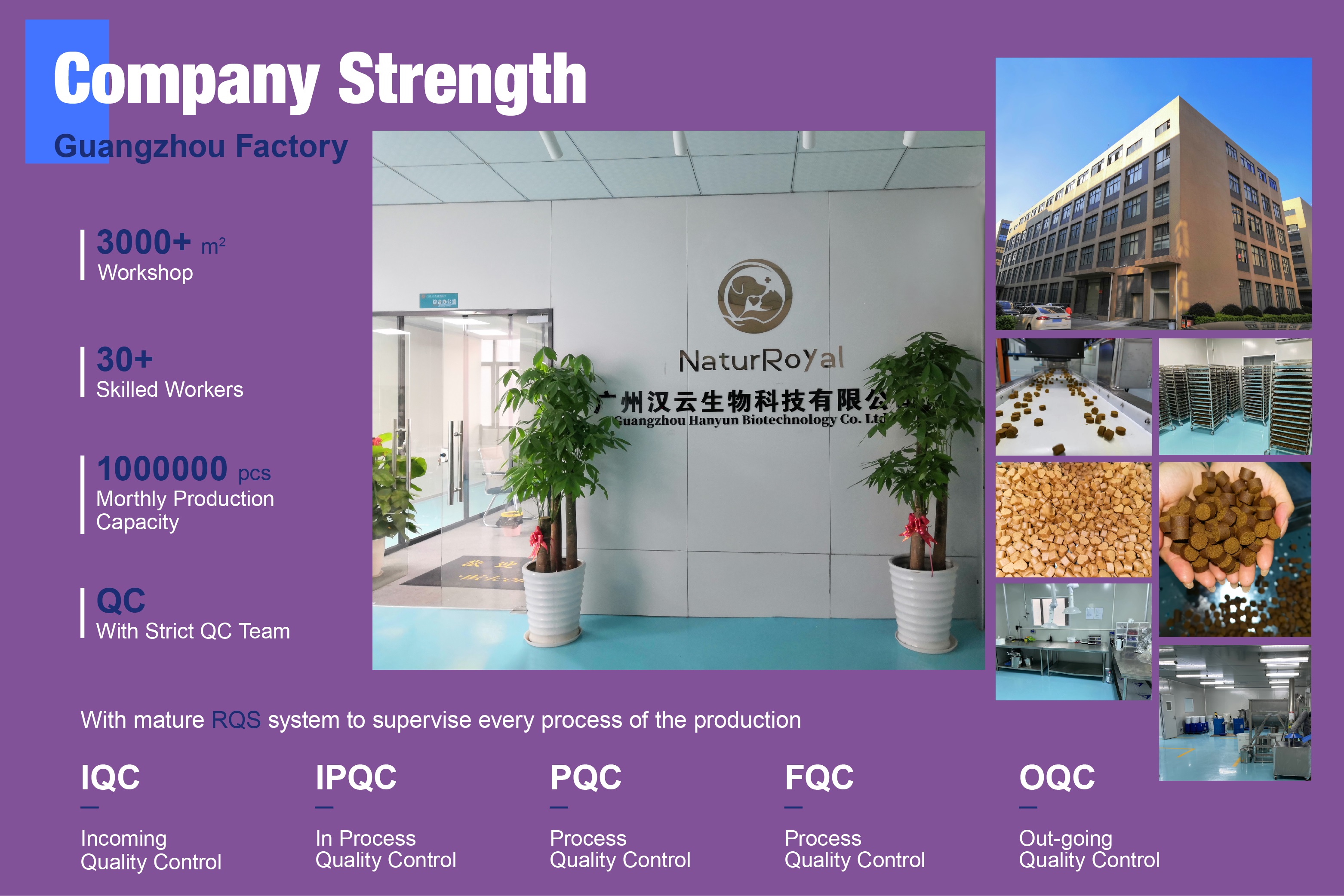 Manufacturing Plant Overview
