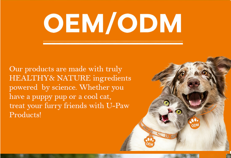 Pet Product Details 2