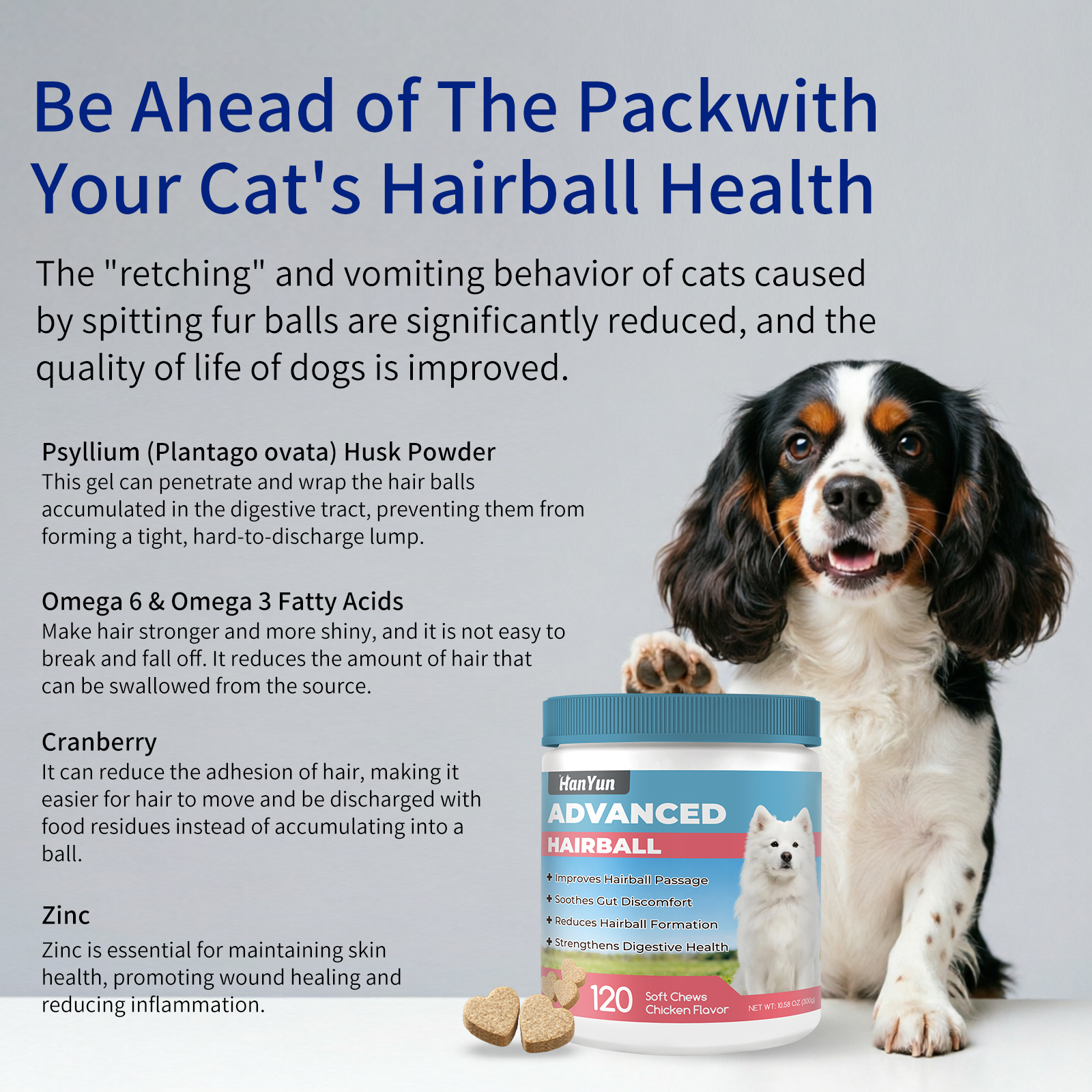 Factory Price Safe Soft Chew Cat Hairball Supplement With Taurine &amp; B Vitamins For Daily Pet Health Care
