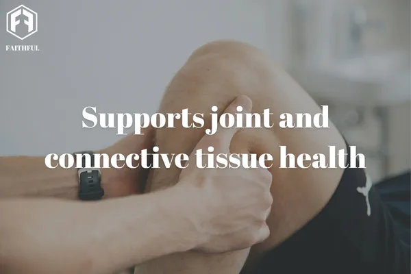 Premium Glucosamine for Animal Nutrition and Veterinary Use