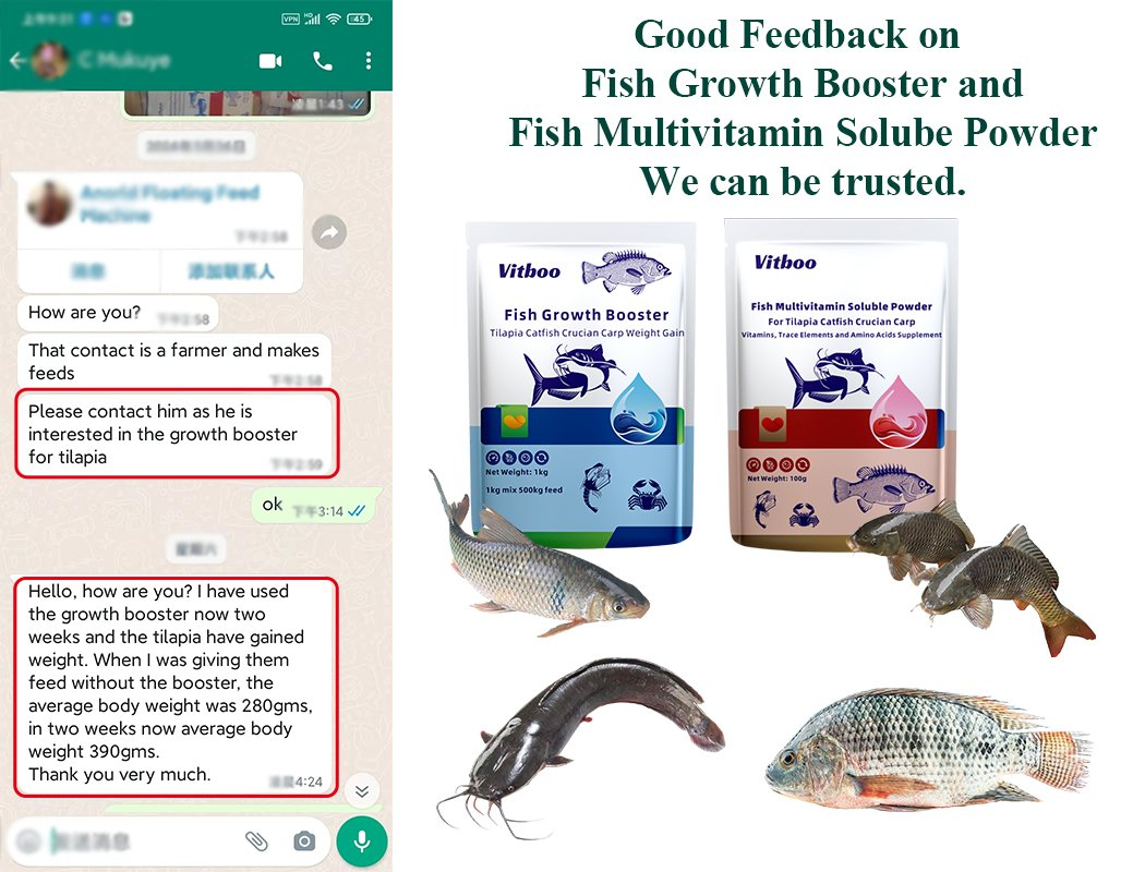OEM Fish Cure Aquatic Drugs Veterinary Medicine Fish Growth Nutrition Supplement Antibiotic