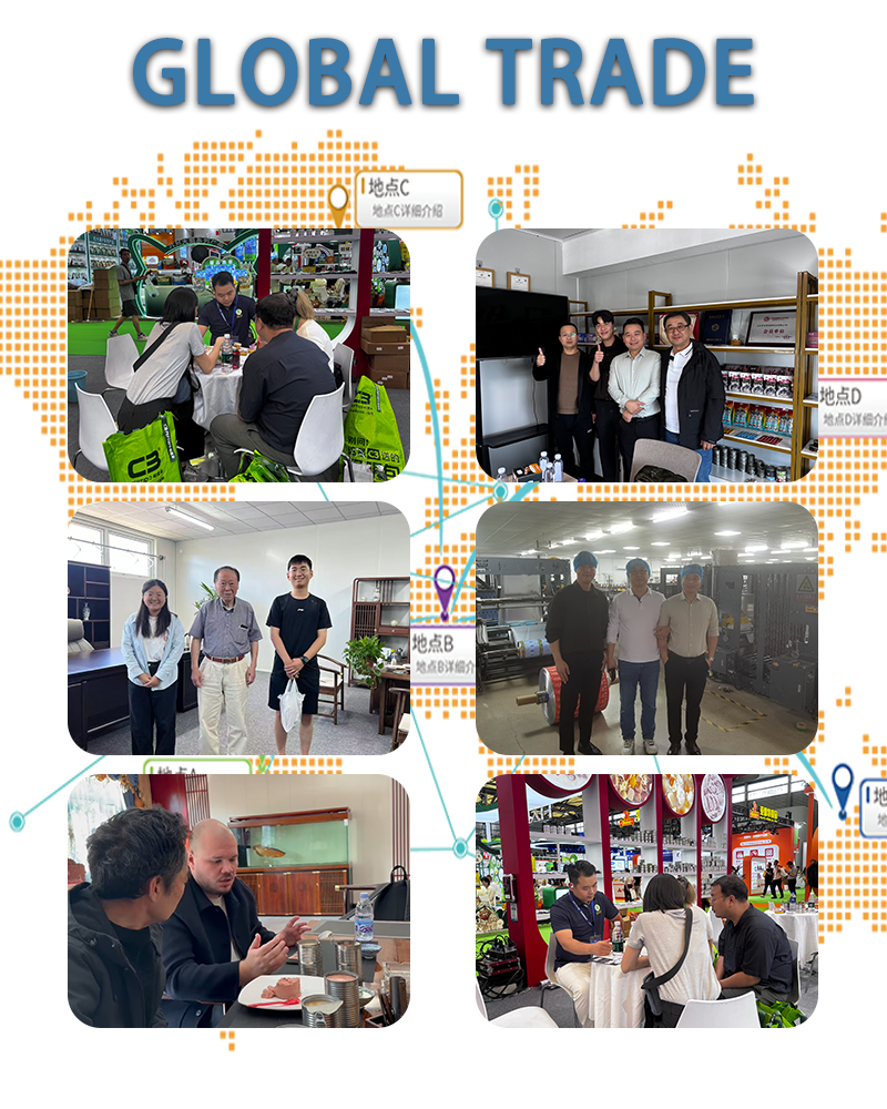 Company Overview 3
