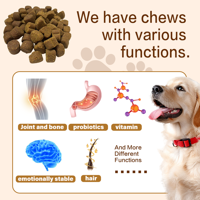 All Breeds High Protein Dog Supplement Life Stages Muscle Soft Chews for Dog Muscle Gain Pet Health Care Supplements