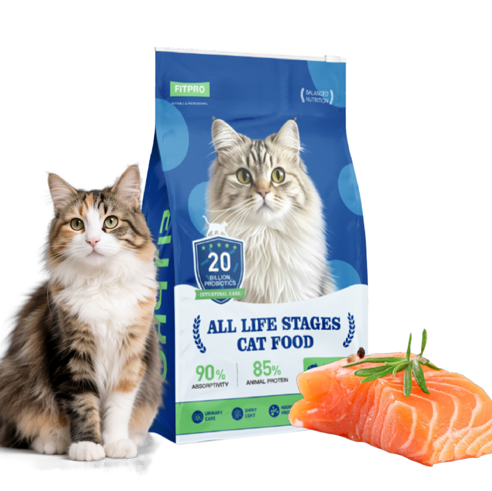 High Protein Dog Food with Chicken and Duck Rich Flavor Complete Nutrition Health Support