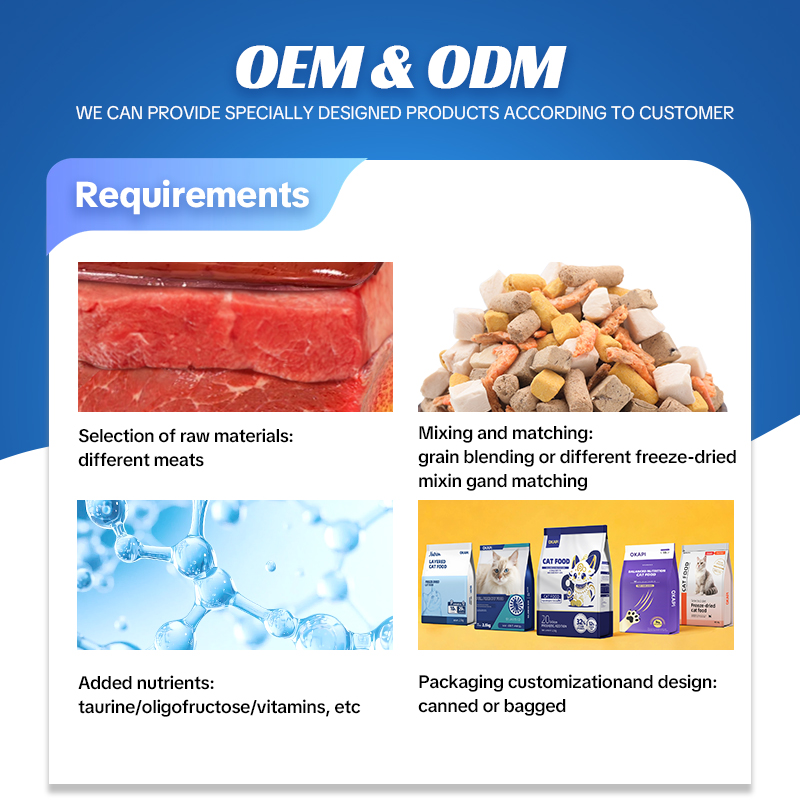 2kg High Protein Nutritious Cat Dry Food in Bag for All Breeds OEM ODM Solutions with Vitamins &amp; Minerals Sensitive Digestion