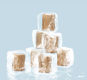 Vacuum Freeze Drying