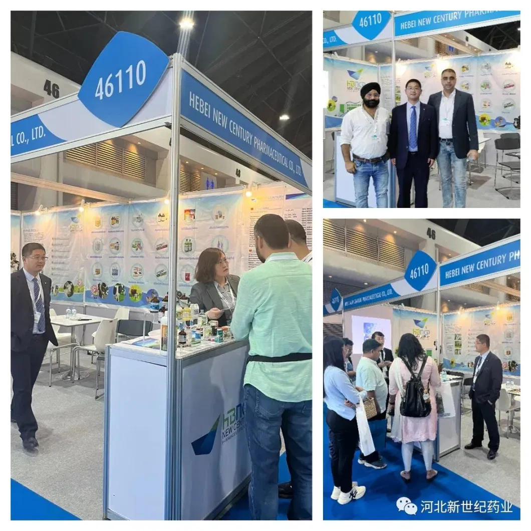 Exhibition Booth 1