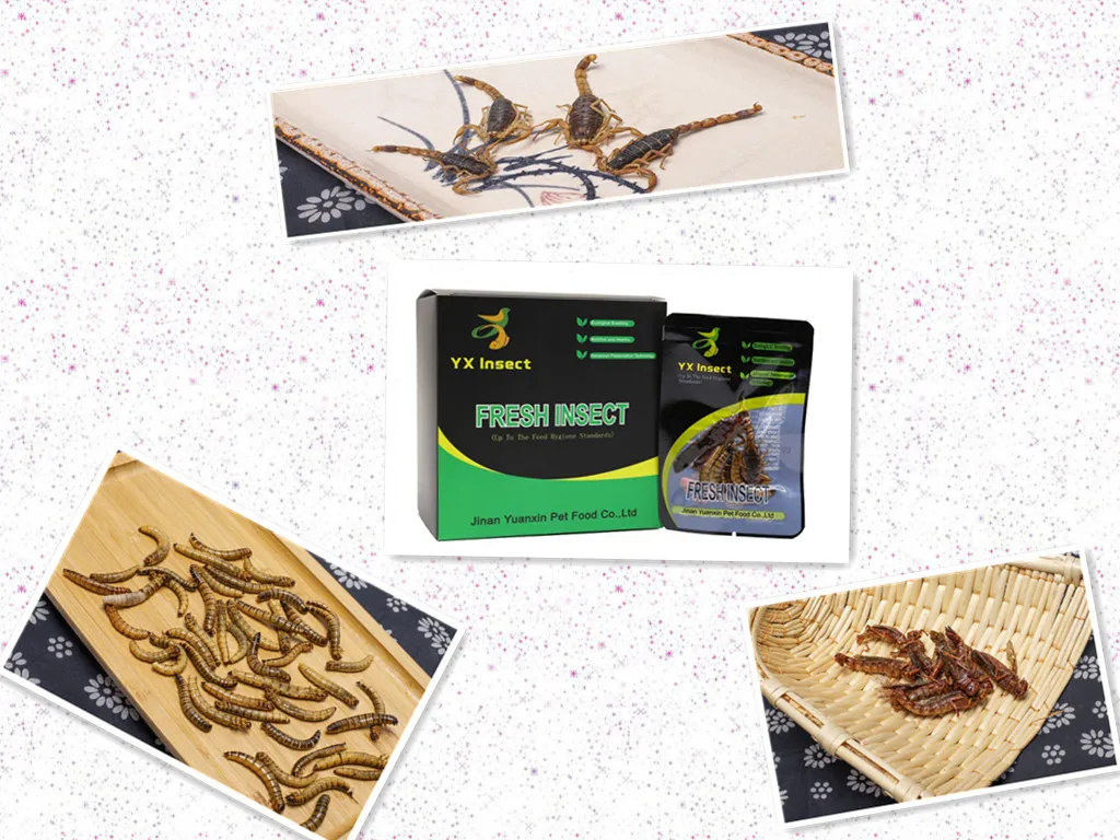 High Nutrition Active Formula for Poultry Feed