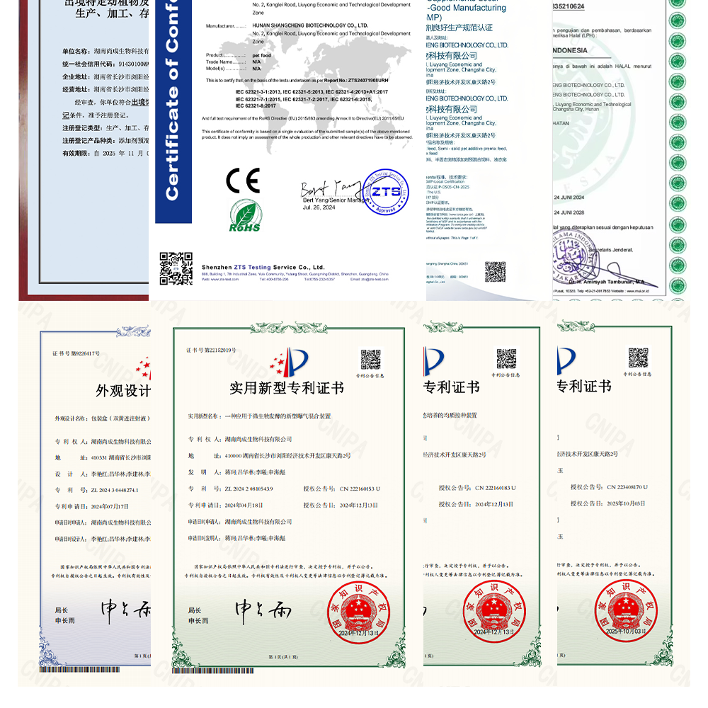 Detail Infographic 8
