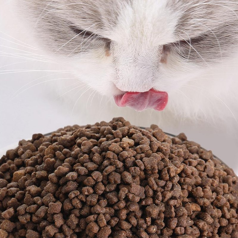 Premium Nutritious Cat Food for Optimal Weight Management