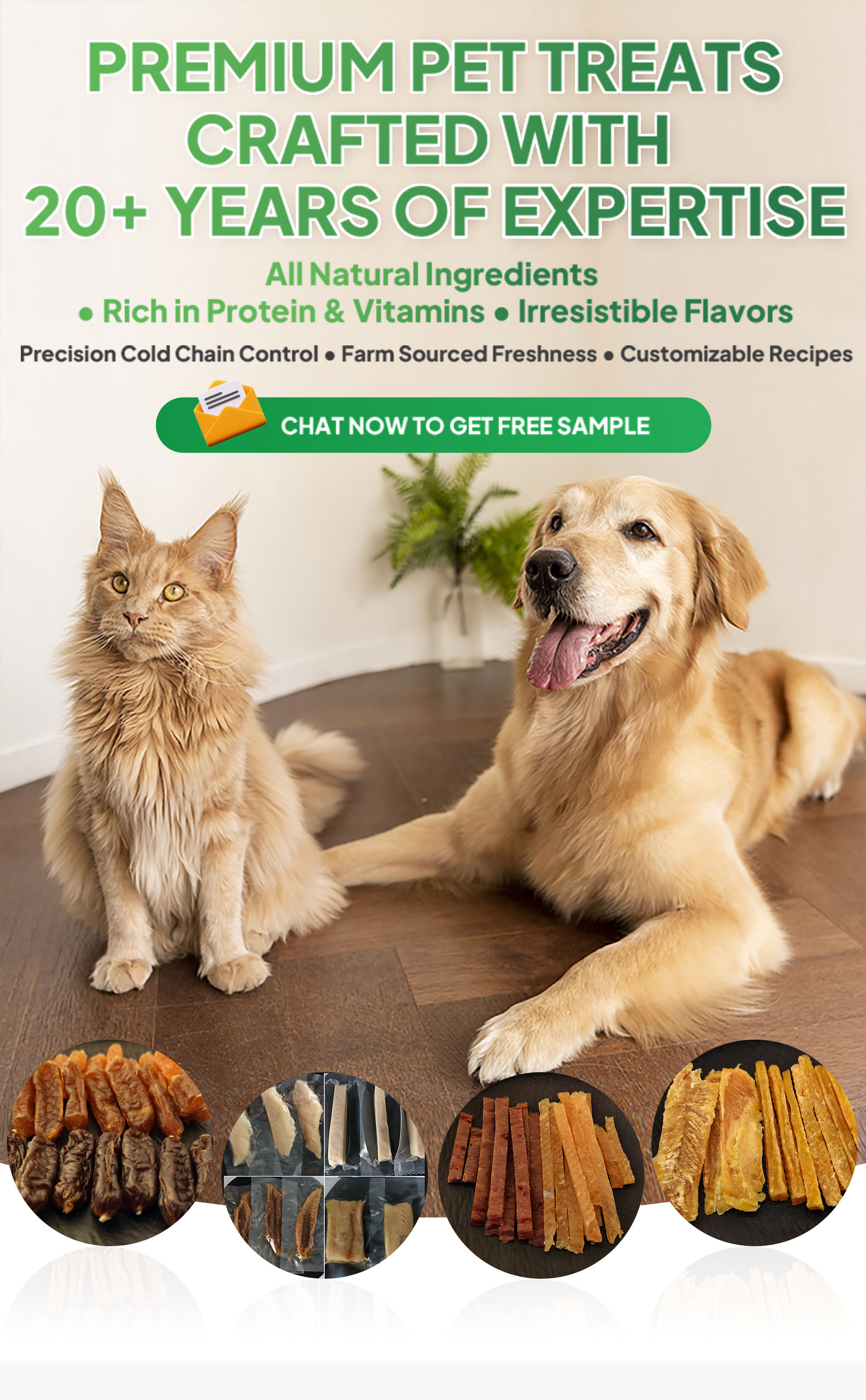 Product Presentation Banner