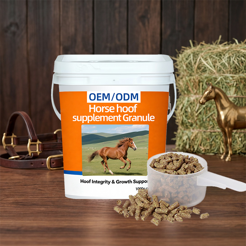 OEM/ODM Premium Biotin Formula for Equine Hoof Health Support